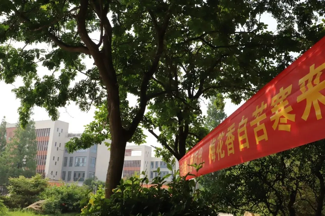 中考首日|2026的光 一路皆明-第31张图片-四季读书网