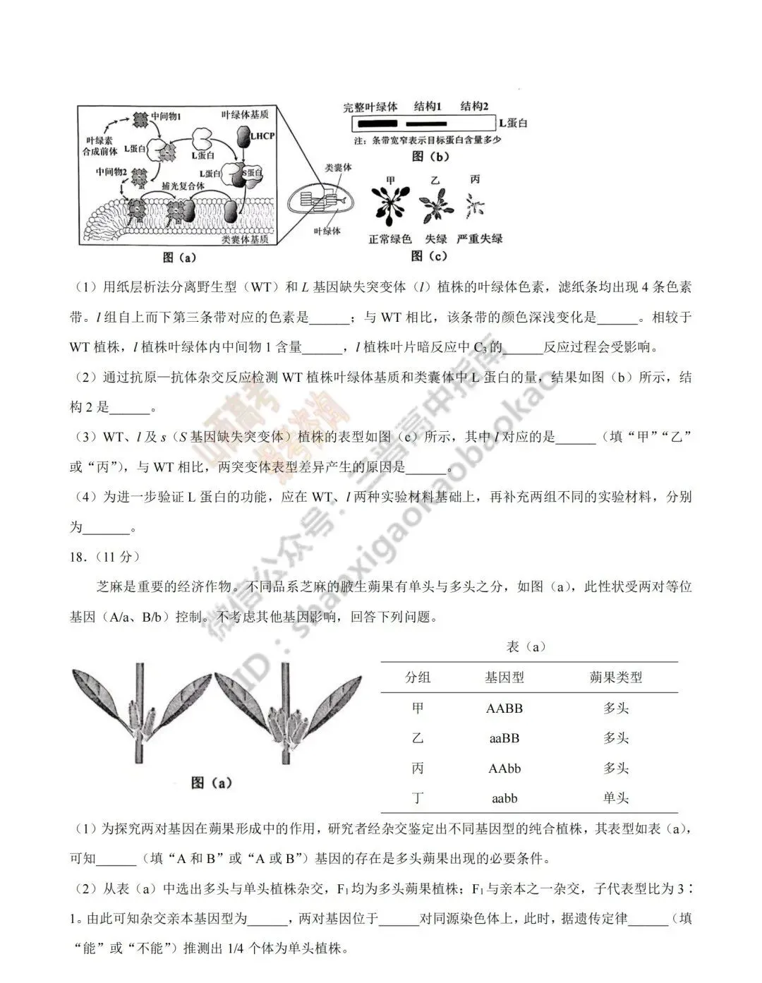 2026年山西高考真题语文/数学/英语/物理等科目试题与答案(带试题分析)生物试题!-第106张图片-四季读书网 2026年山西高考真题语文/数学/英语/物理等科目试题与答案(带试题分析)生物试题!-第106张图片-四季读书网