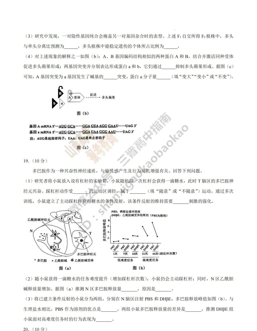 2026年山西高考真题语文/数学/英语/物理等科目试题与答案(带试题分析)生物试题!-第107张图片-四季读书网 2026年山西高考真题语文/数学/英语/物理等科目试题与答案(带试题分析)生物试题!-第107张图片-四季读书网