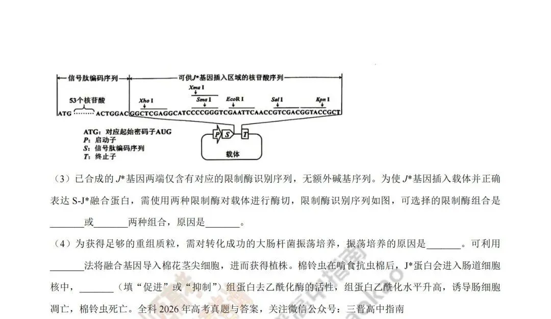 2026年山西高考真题语文/数学/英语/物理等科目试题与答案(带试题分析)生物试题!-第109张图片-四季读书网 2026年山西高考真题语文/数学/英语/物理等科目试题与答案(带试题分析)生物试题!-第109张图片-四季读书网