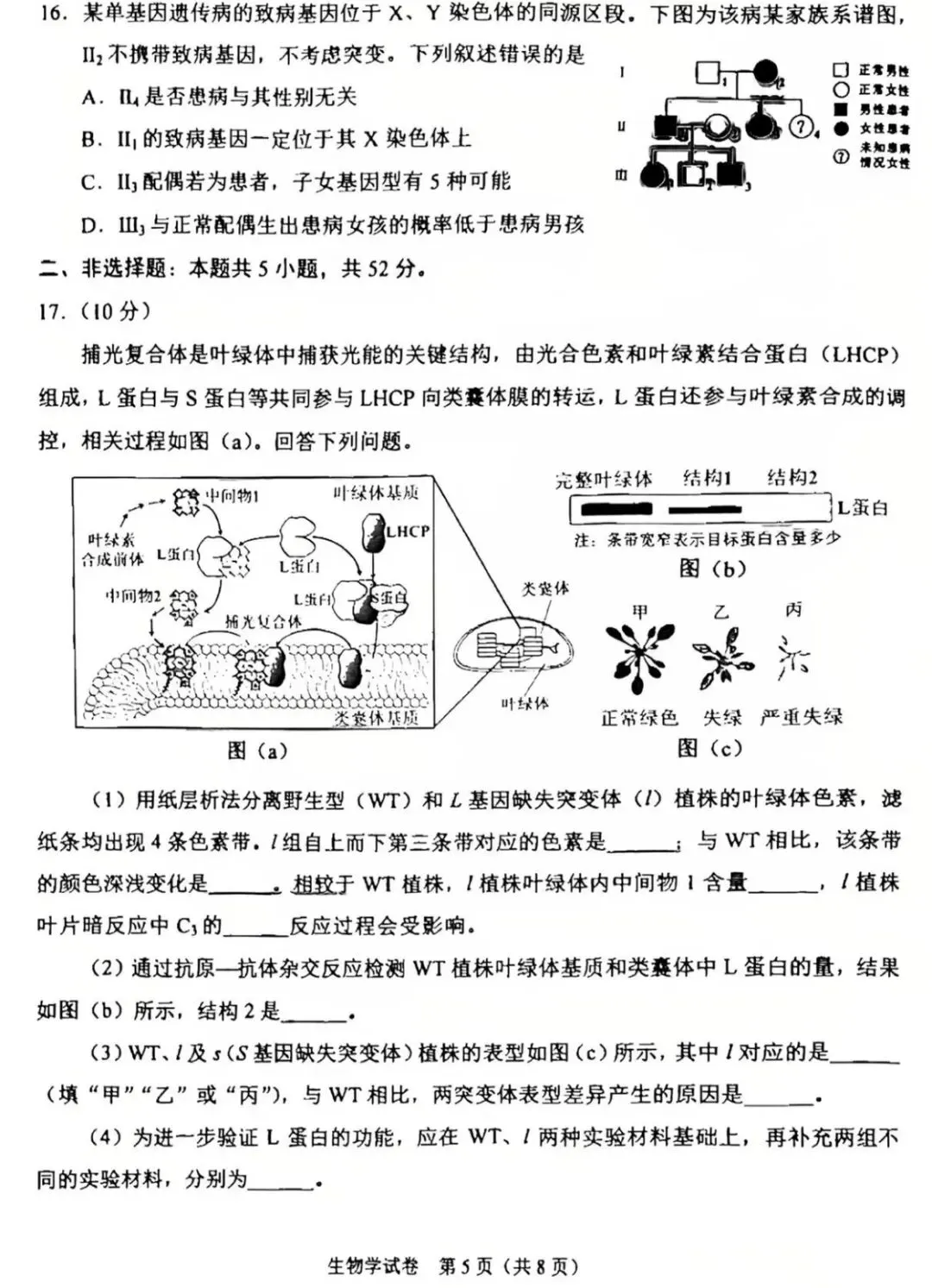 2026年陕西高考生物真题卷-第4张图片-四季读书网