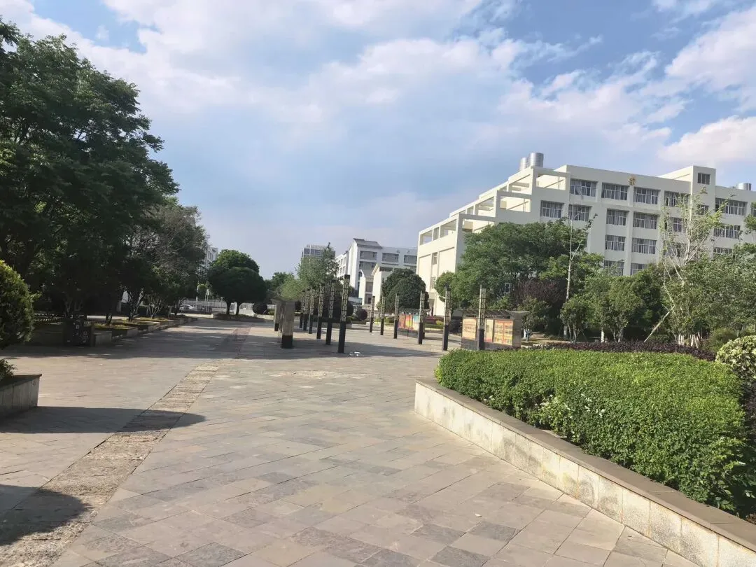 中考失利不代表人生出局!昆明这所公办名校,给孩子两条光明出路!-第3张图片-四季读书网 中考失利不代表人生出局!昆明这所公办名校,给孩子两条光明出路!-第3张图片-四季读书网