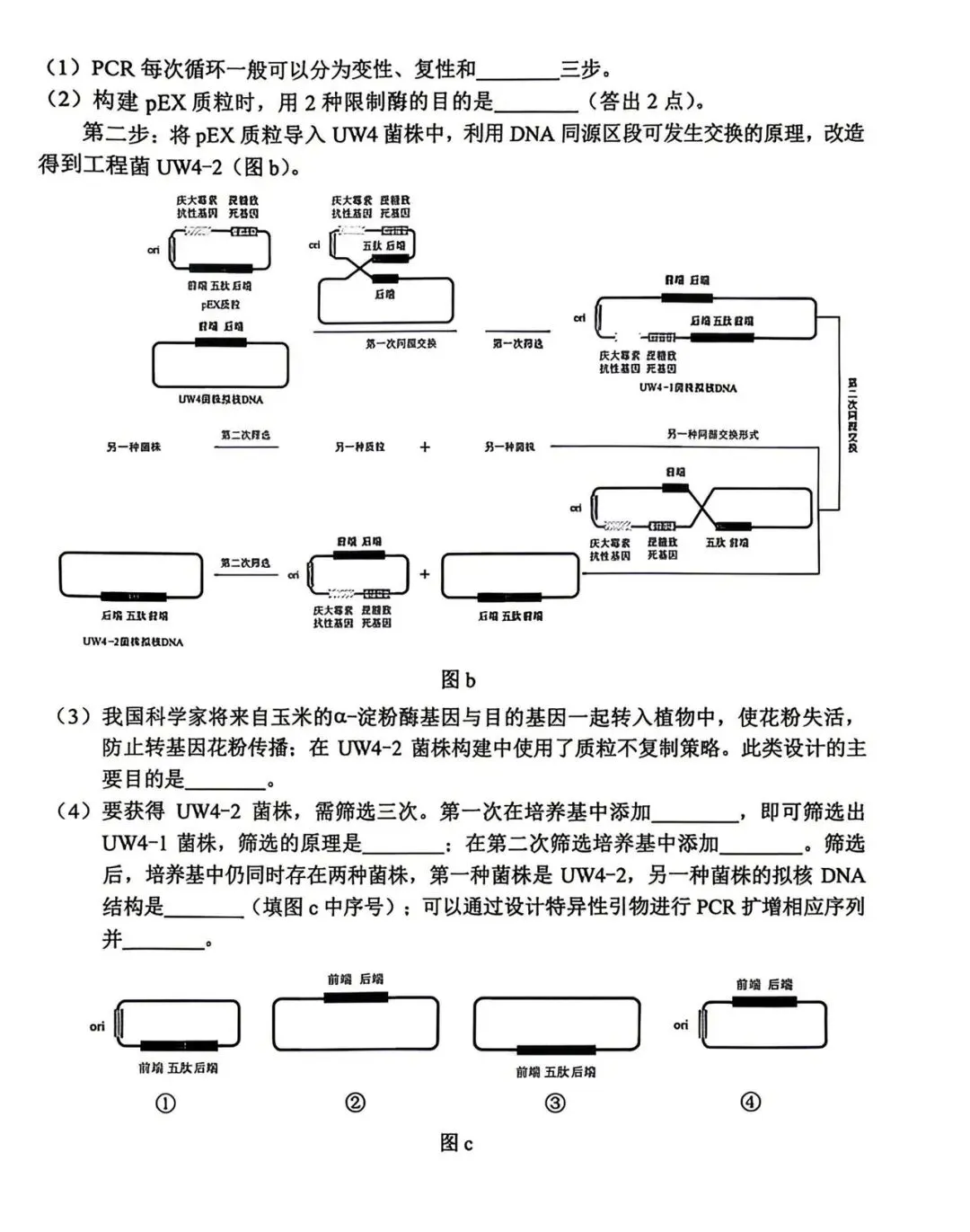 【高考真题】2026高考生物真题(云南)-第8张图片-四季读书网