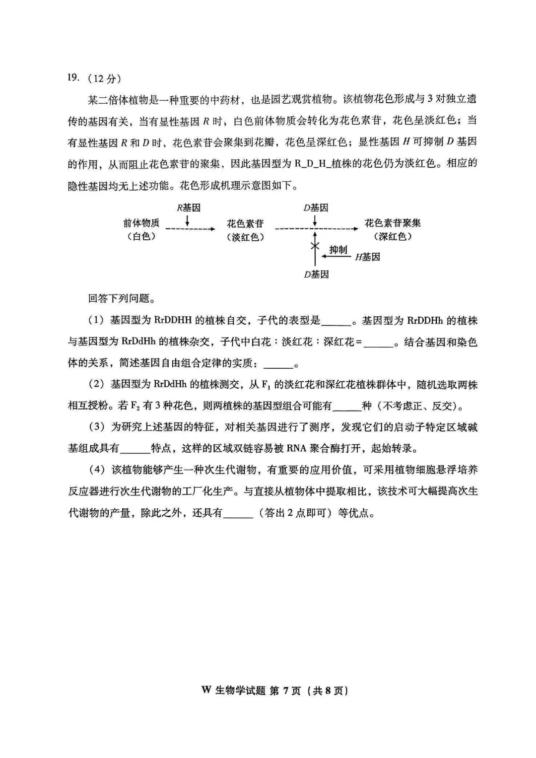 估分对答案!2026年安徽高考真题及答案汇总!-第44张图片-四季读书网