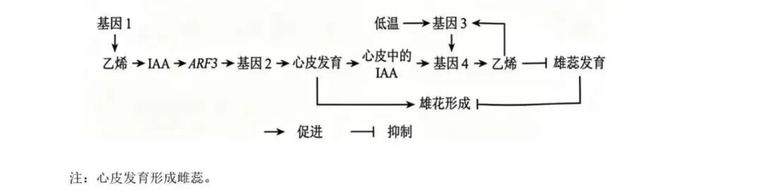 高考|2026|生物试卷-第2张图片-四季读书网 高考|2026|生物试卷-第2张图片-四季读书网
