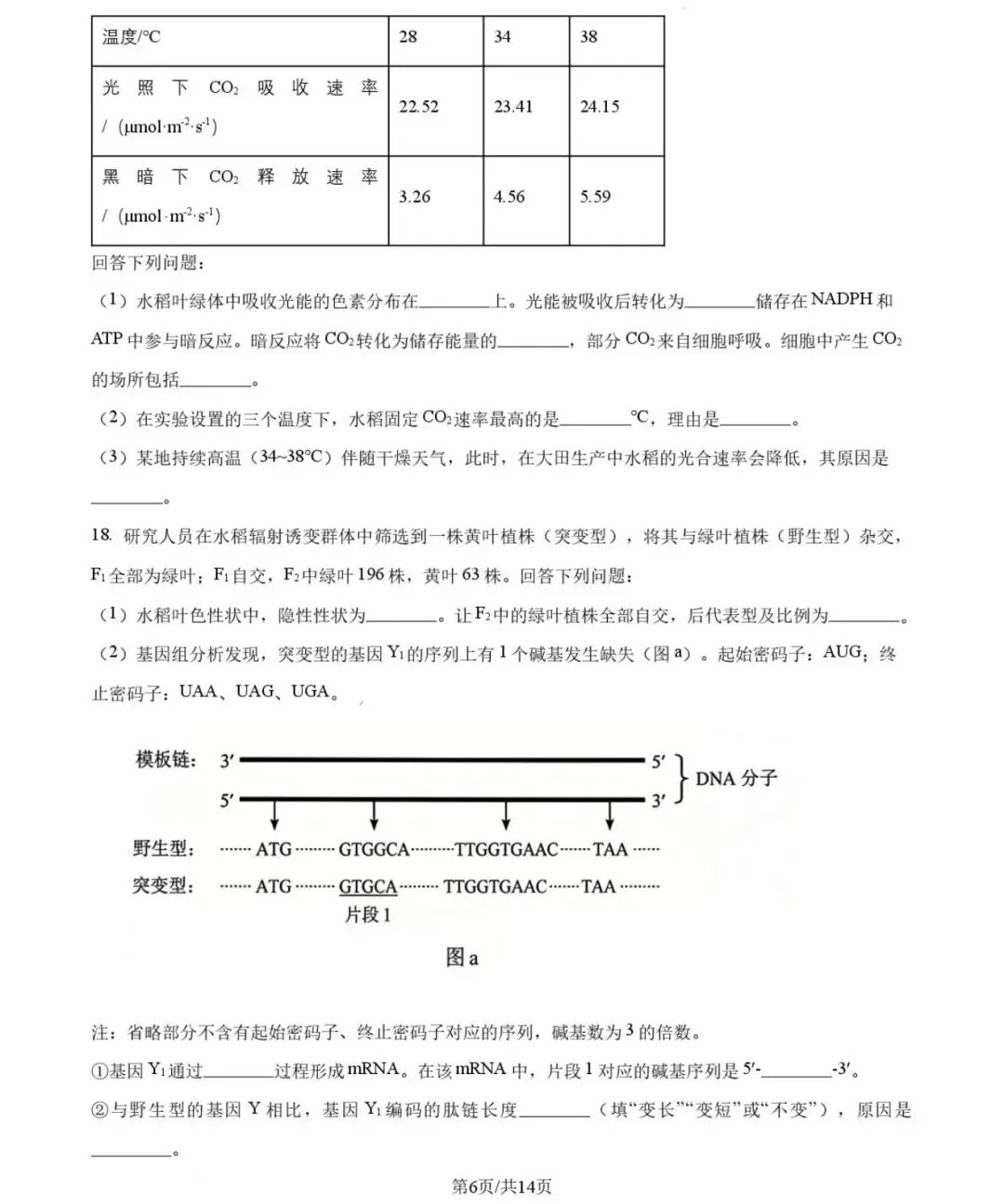 高考|2026|生物试卷-第5张图片-四季读书网 高考|2026|生物试卷-第5张图片-四季读书网