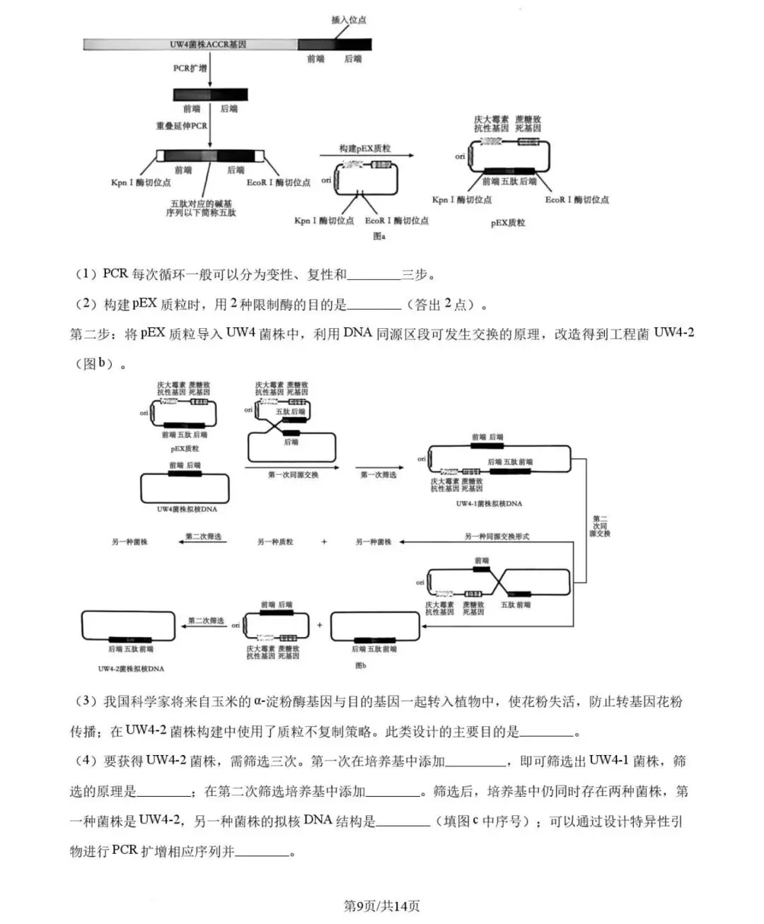 高考|2026|生物试卷-第8张图片-四季读书网 高考|2026|生物试卷-第8张图片-四季读书网