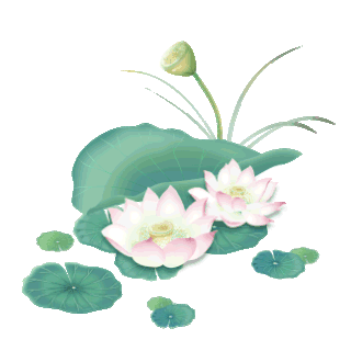 那年高考,我多订了几本试卷-第11张图片-四季读书网 那年高考,我多订了几本试卷-第11张图片-四季读书网