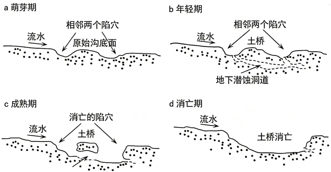 山西省太原市2026届高三下学期模拟考试(二)地理试卷-第4张图片-四季读书网 山西省太原市2026届高三下学期模拟考试(二)地理试卷-第4张图片-四季读书网
