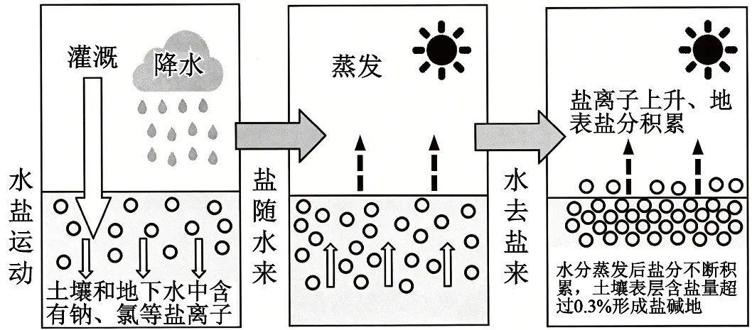山西省太原市2026届高三下学期模拟考试(二)地理试卷-第7张图片-四季读书网 山西省太原市2026届高三下学期模拟考试(二)地理试卷-第7张图片-四季读书网