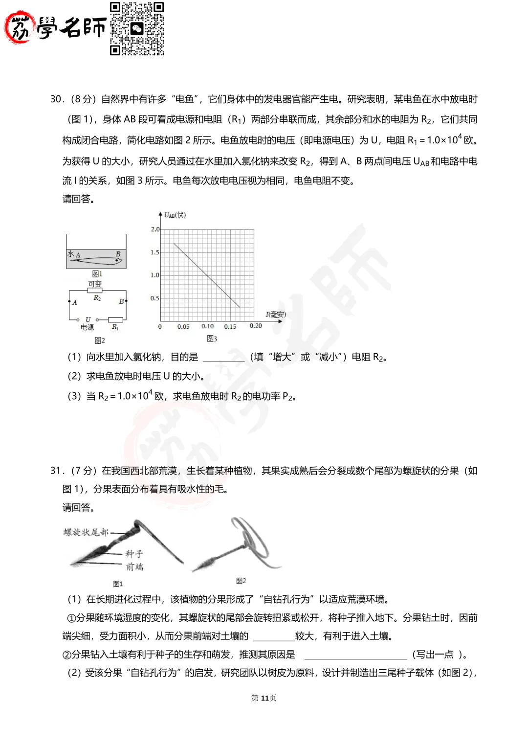 24年浙江省中考-【科学】试卷及答案解析-第12张图片-四季读书网 24年浙江省中考-【科学】试卷及答案解析-第12张图片-四季读书网