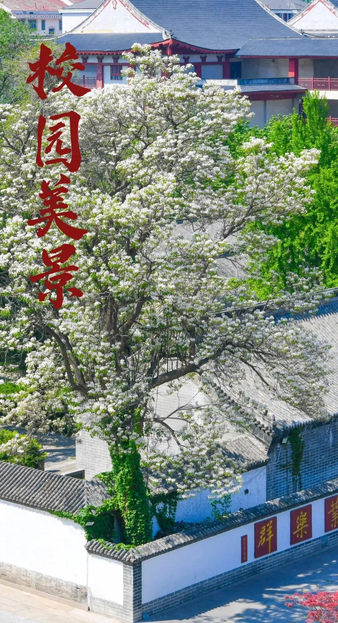 中考加油!潍坊中考首日直击→-第76张图片-四季读书网 中考加油!潍坊中考首日直击→-第76张图片-四季读书网