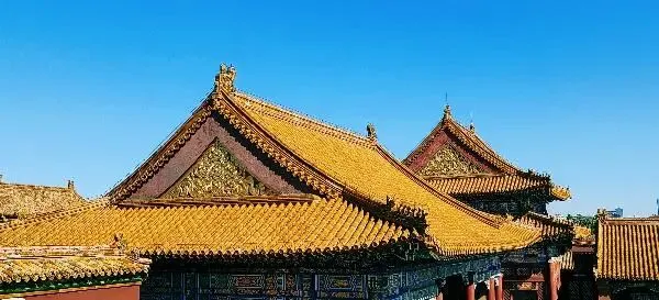 中考正式开考!中国男排迎战日本队-第8张图片-四季读书网