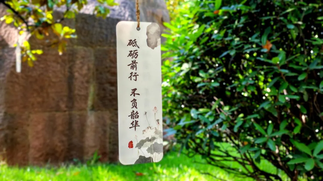 中考、高考生|来法门文化景区,赶赴这场专属你们的毕业旅行-第6张图片-四季读书网