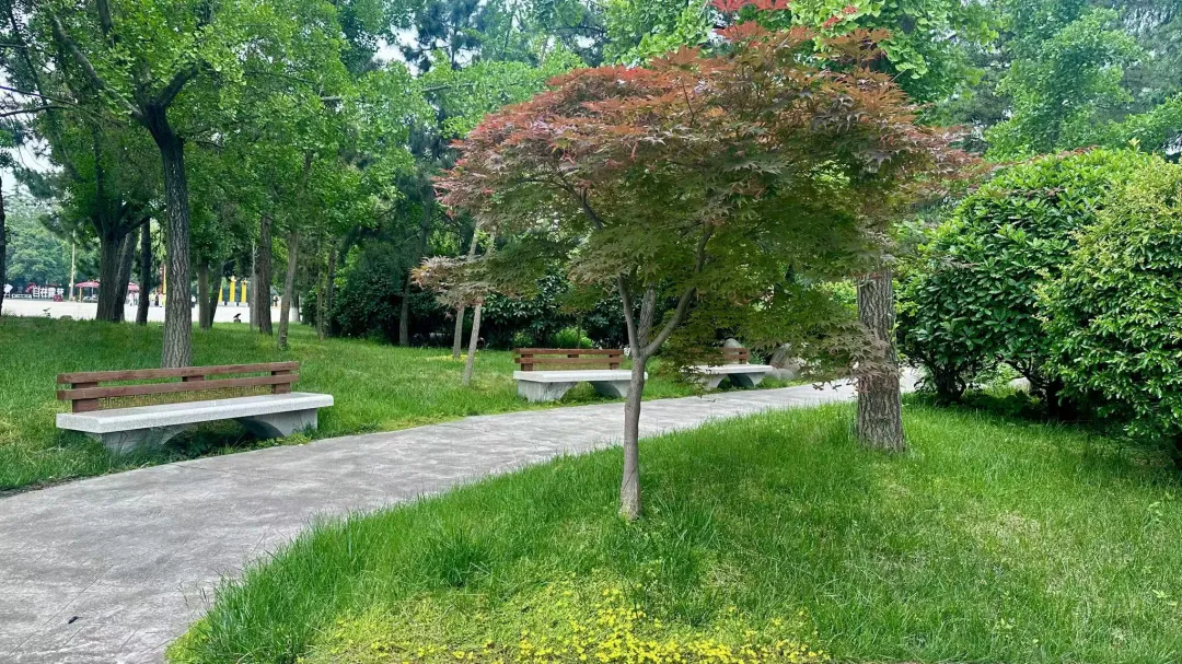 中考、高考生|来法门文化景区,赶赴这场专属你们的毕业旅行-第7张图片-四季读书网