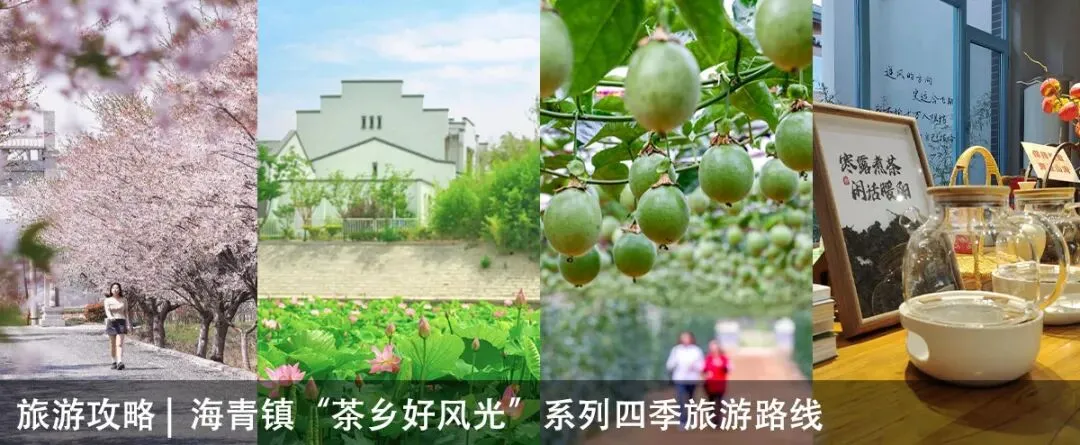 中考首日,老兵护航!海青镇用心守护学子逐梦路-第12张图片-四季读书网 中考首日,老兵护航!海青镇用心守护学子逐梦路-第12张图片-四季读书网