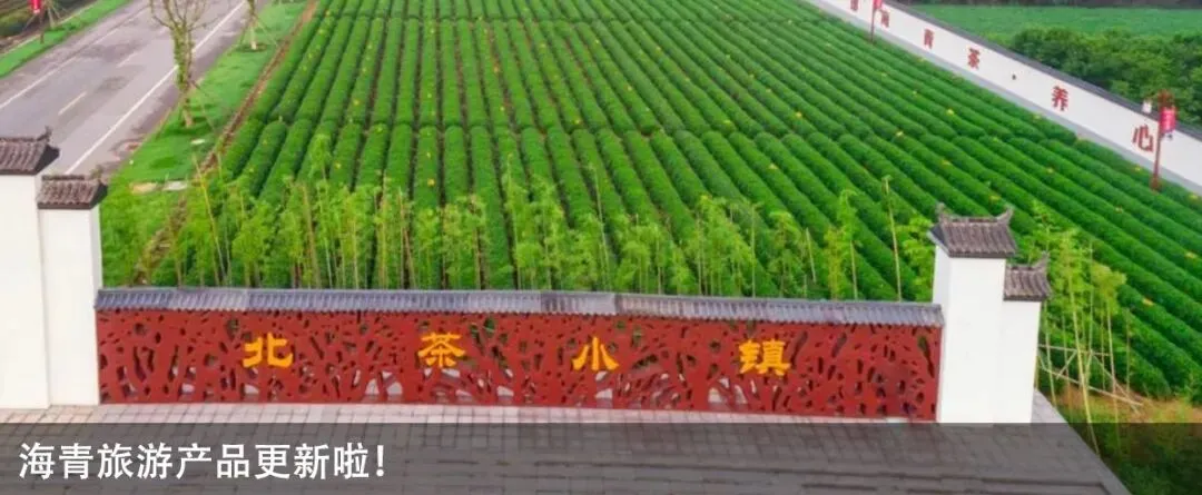 中考首日,老兵护航!海青镇用心守护学子逐梦路-第13张图片-四季读书网 中考首日,老兵护航!海青镇用心守护学子逐梦路-第13张图片-四季读书网