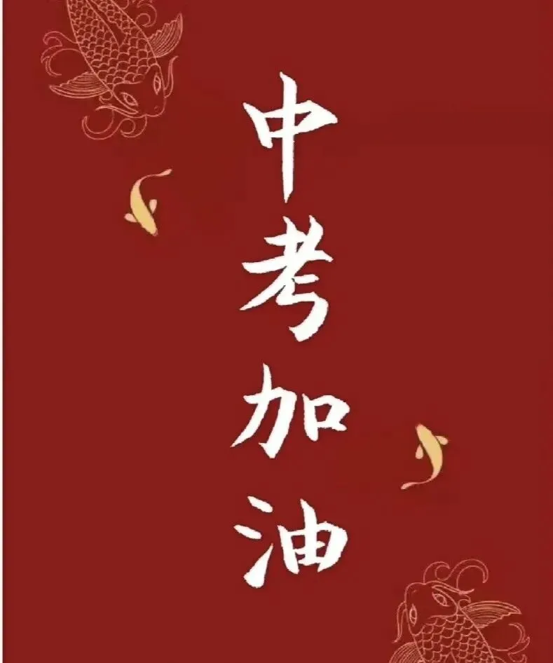 四十岁,恰逢孩子中考-第1张图片-四季读书网 四十岁,恰逢孩子中考-第1张图片-四季读书网
