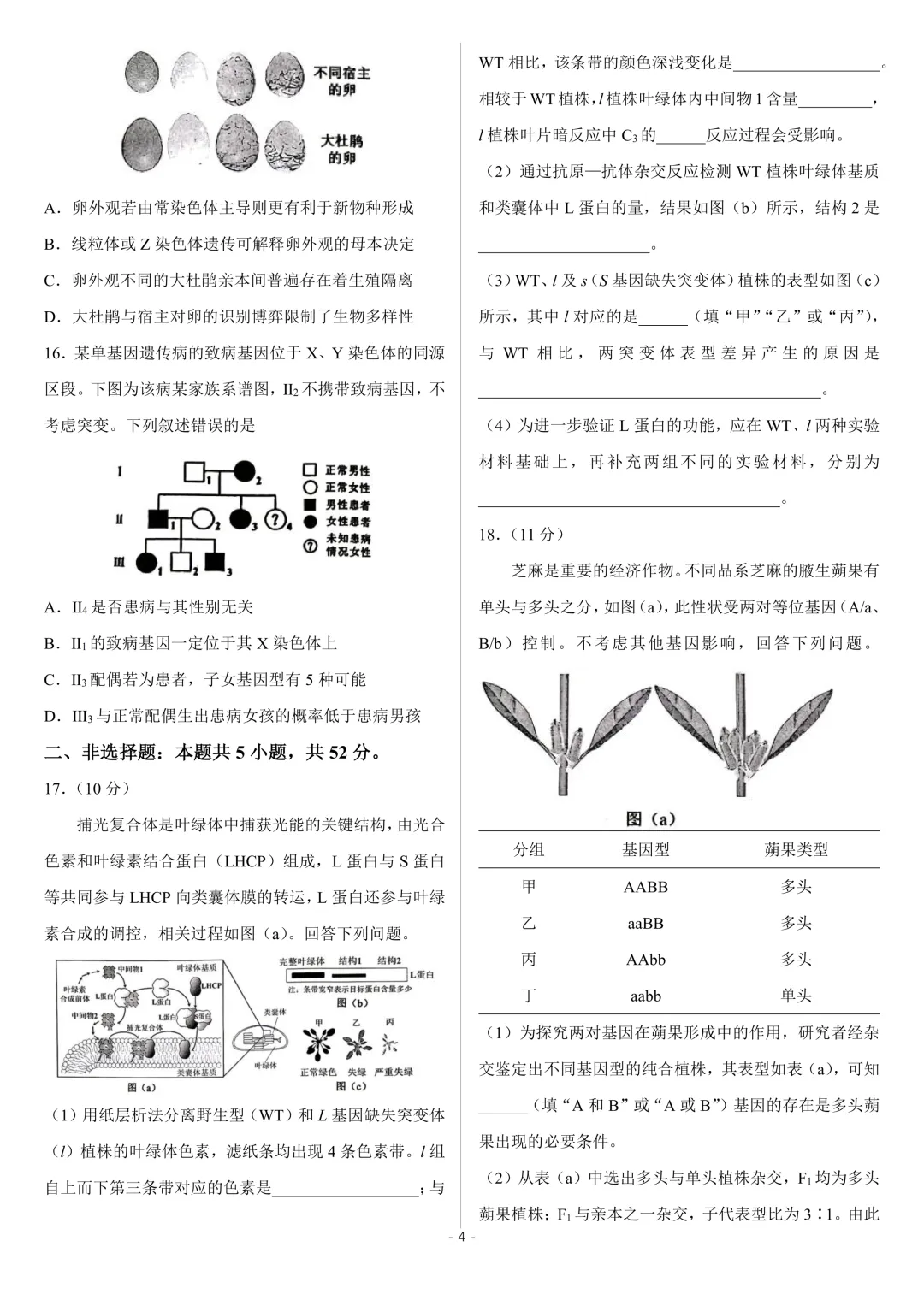 【高考真题】2026年高考陕晋青宁卷生物高考真题-第5张图片-四季读书网