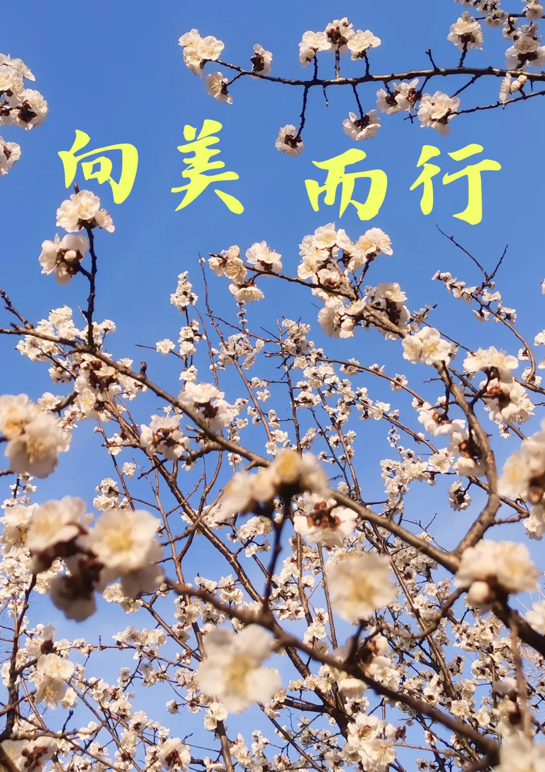 中考拍了拍你:这一次,换你上场��-第33张图片-四季读书网 中考拍了拍你:这一次,换你上场��-第33张图片-四季读书网