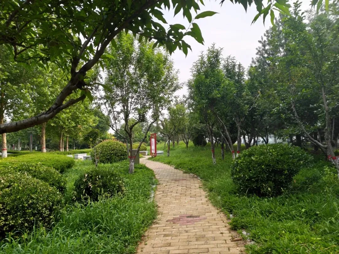 中考不必焦虑,写作更无需迷茫,漫步小湄河,我的图片或许能够治愈你人间焦虑-第1张图片-四季读书网 中考不必焦虑,写作更无需迷茫,漫步小湄河,我的图片或许能够治愈你人间焦虑-第1张图片-四季读书网