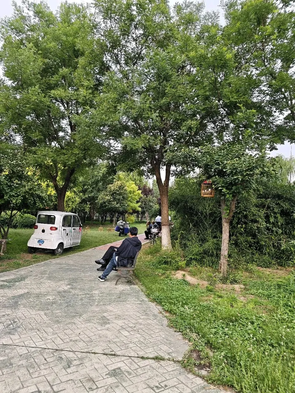中考不必焦虑,写作更无需迷茫,漫步小湄河,我的图片或许能够治愈你人间焦虑-第2张图片-四季读书网 中考不必焦虑,写作更无需迷茫,漫步小湄河,我的图片或许能够治愈你人间焦虑-第2张图片-四季读书网