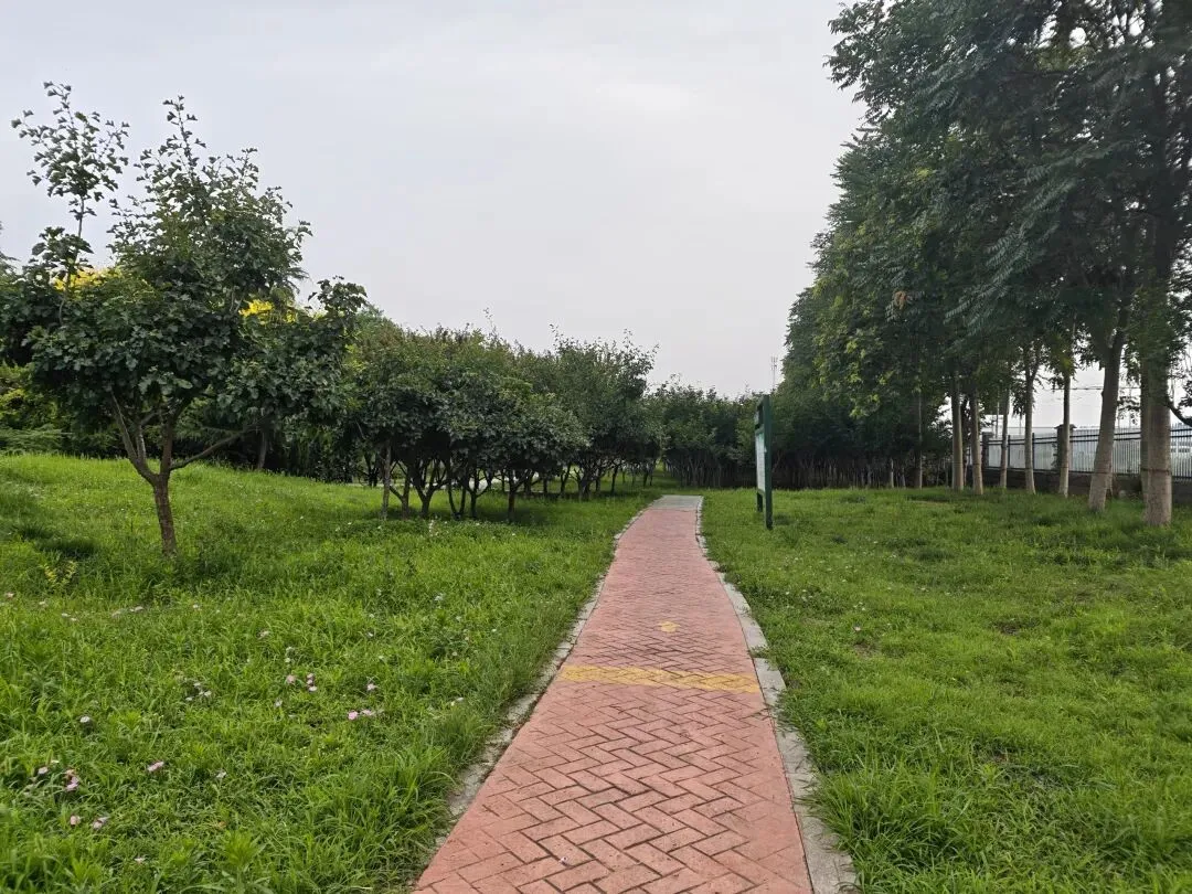 中考不必焦虑,写作更无需迷茫,漫步小湄河,我的图片或许能够治愈你人间焦虑-第3张图片-四季读书网 中考不必焦虑,写作更无需迷茫,漫步小湄河,我的图片或许能够治愈你人间焦虑-第3张图片-四季读书网