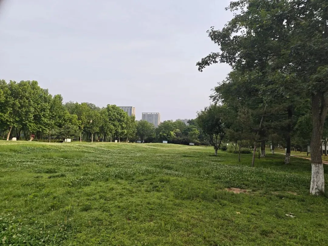 中考不必焦虑,写作更无需迷茫,漫步小湄河,我的图片或许能够治愈你人间焦虑-第6张图片-四季读书网 中考不必焦虑,写作更无需迷茫,漫步小湄河,我的图片或许能够治愈你人间焦虑-第6张图片-四季读书网
