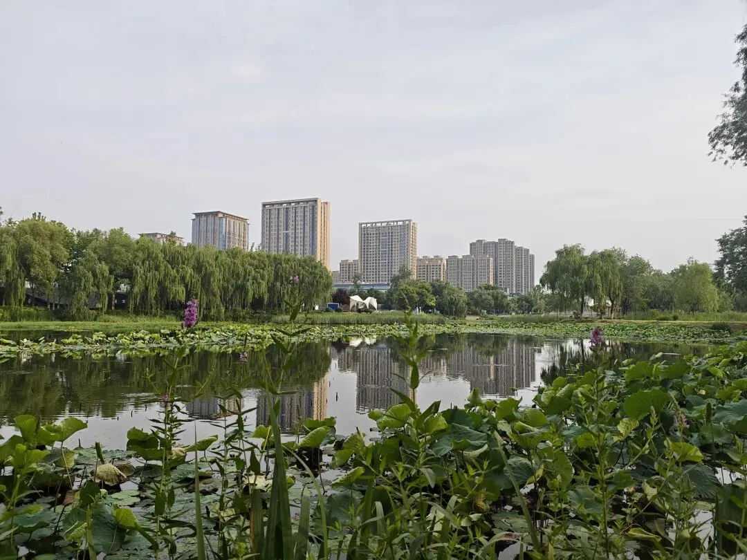 中考不必焦虑,写作更无需迷茫,漫步小湄河,我的图片或许能够治愈你人间焦虑-第7张图片-四季读书网 中考不必焦虑,写作更无需迷茫,漫步小湄河,我的图片或许能够治愈你人间焦虑-第7张图片-四季读书网