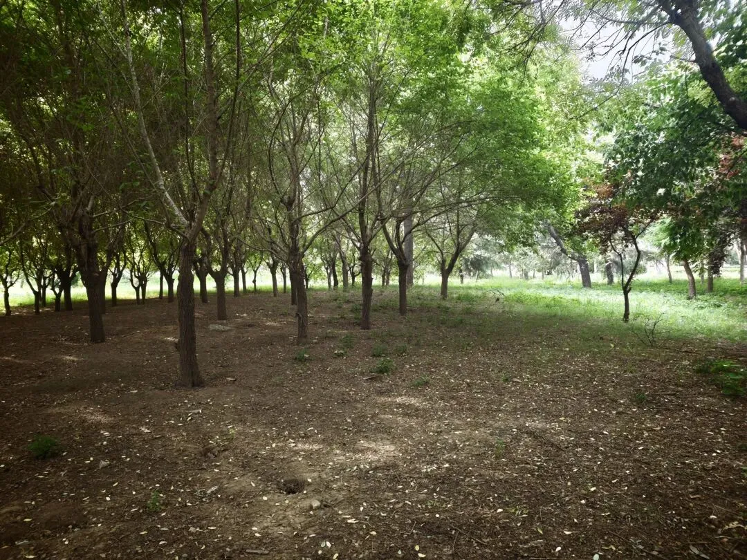 中考不必焦虑,写作更无需迷茫,漫步小湄河,我的图片或许能够治愈你人间焦虑-第10张图片-四季读书网 中考不必焦虑,写作更无需迷茫,漫步小湄河,我的图片或许能够治愈你人间焦虑-第10张图片-四季读书网