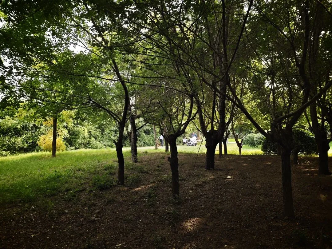 中考不必焦虑,写作更无需迷茫,漫步小湄河,我的图片或许能够治愈你人间焦虑-第11张图片-四季读书网 中考不必焦虑,写作更无需迷茫,漫步小湄河,我的图片或许能够治愈你人间焦虑-第11张图片-四季读书网