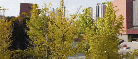 今日中考登场!科中少年,加油!-第29张图片-四季读书网 今日中考登场!科中少年,加油!-第29张图片-四季读书网