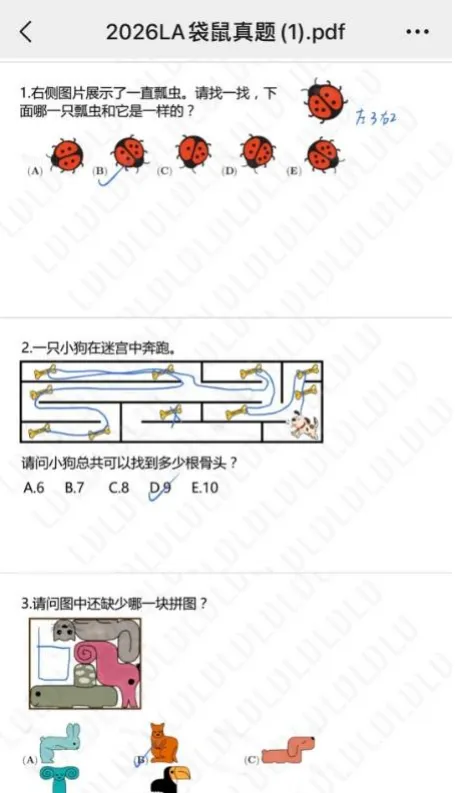 【资料分享】近十年袋鼠数学竞赛真题+解析,ABCDEF全等级,1-12年级都有!-第2张图片-四季读书网 【资料分享】近十年袋鼠数学竞赛真题+解析,ABCDEF全等级,1-12年级都有!-第2张图片-四季读书网