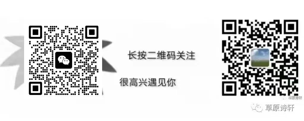 中考语文预测,作文押题素材,蒙古马精神-第5张图片-四季读书网