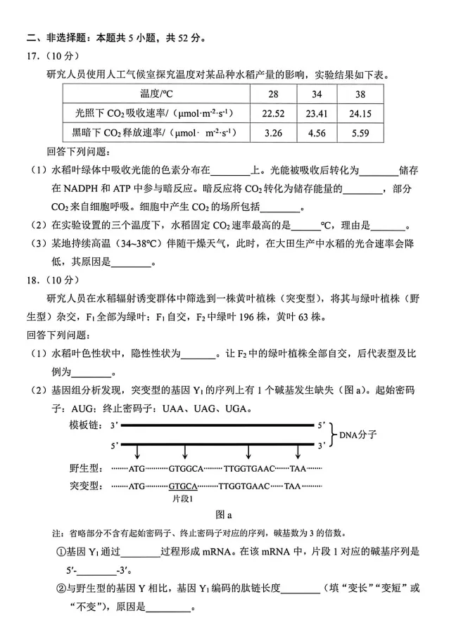 云南省2026年高考各科真题试卷和答案可打印保存电子版其中英语含听力音频-第18张图片-四季读书网 云南省2026年高考各科真题试卷和答案可打印保存电子版其中英语含听力音频-第18张图片-四季读书网
