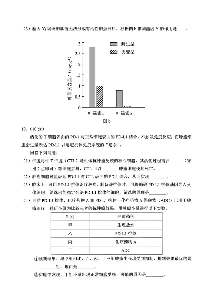 云南省2026年高考各科真题试卷和答案可打印保存电子版其中英语含听力音频-第19张图片-四季读书网 云南省2026年高考各科真题试卷和答案可打印保存电子版其中英语含听力音频-第19张图片-四季读书网