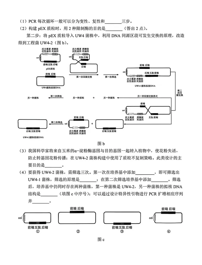 云南省2026年高考各科真题试卷和答案可打印保存电子版其中英语含听力音频-第21张图片-四季读书网 云南省2026年高考各科真题试卷和答案可打印保存电子版其中英语含听力音频-第21张图片-四季读书网