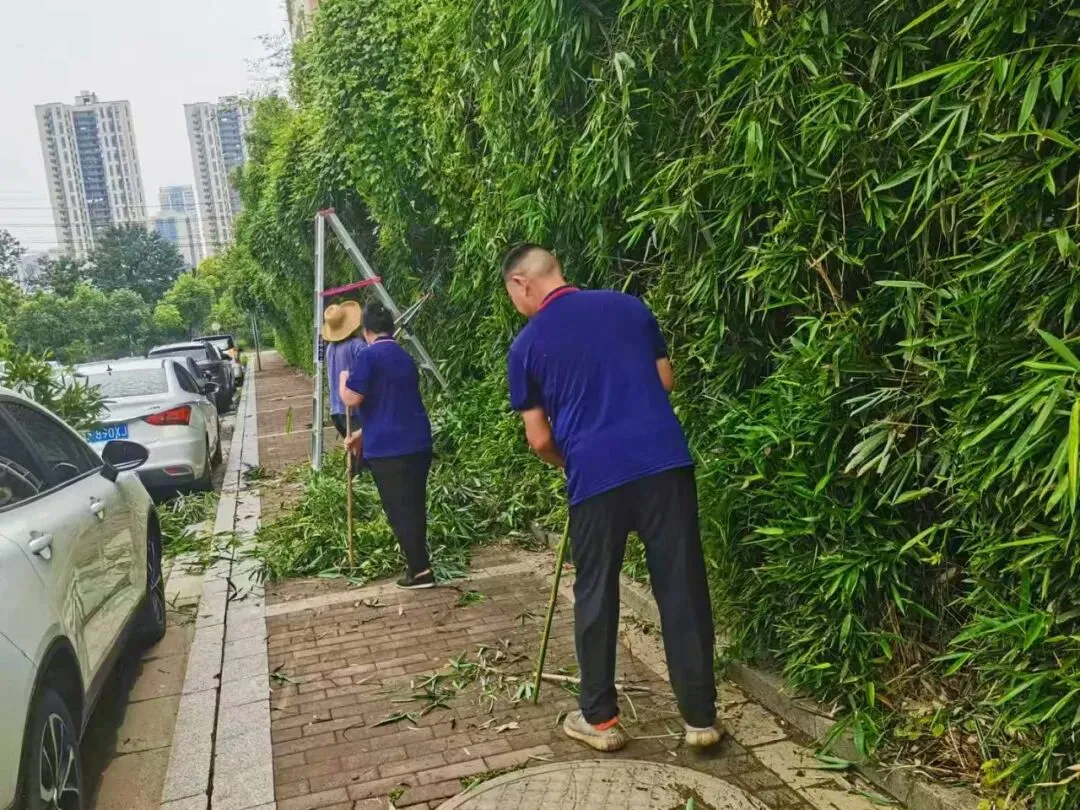 中考特辑③|厚积终成势 静待笔生花-第26张图片-四季读书网 中考特辑③|厚积终成势 静待笔生花-第26张图片-四季读书网