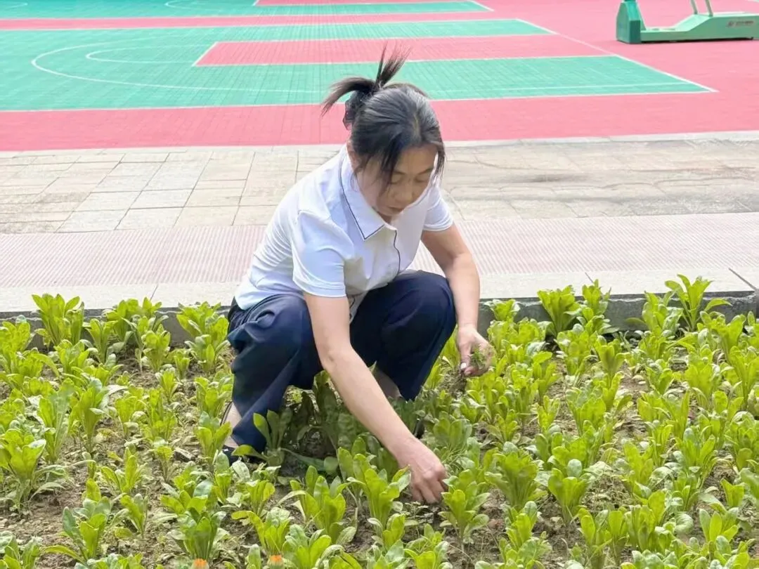中考特辑③|厚积终成势 静待笔生花-第28张图片-四季读书网 中考特辑③|厚积终成势 静待笔生花-第28张图片-四季读书网