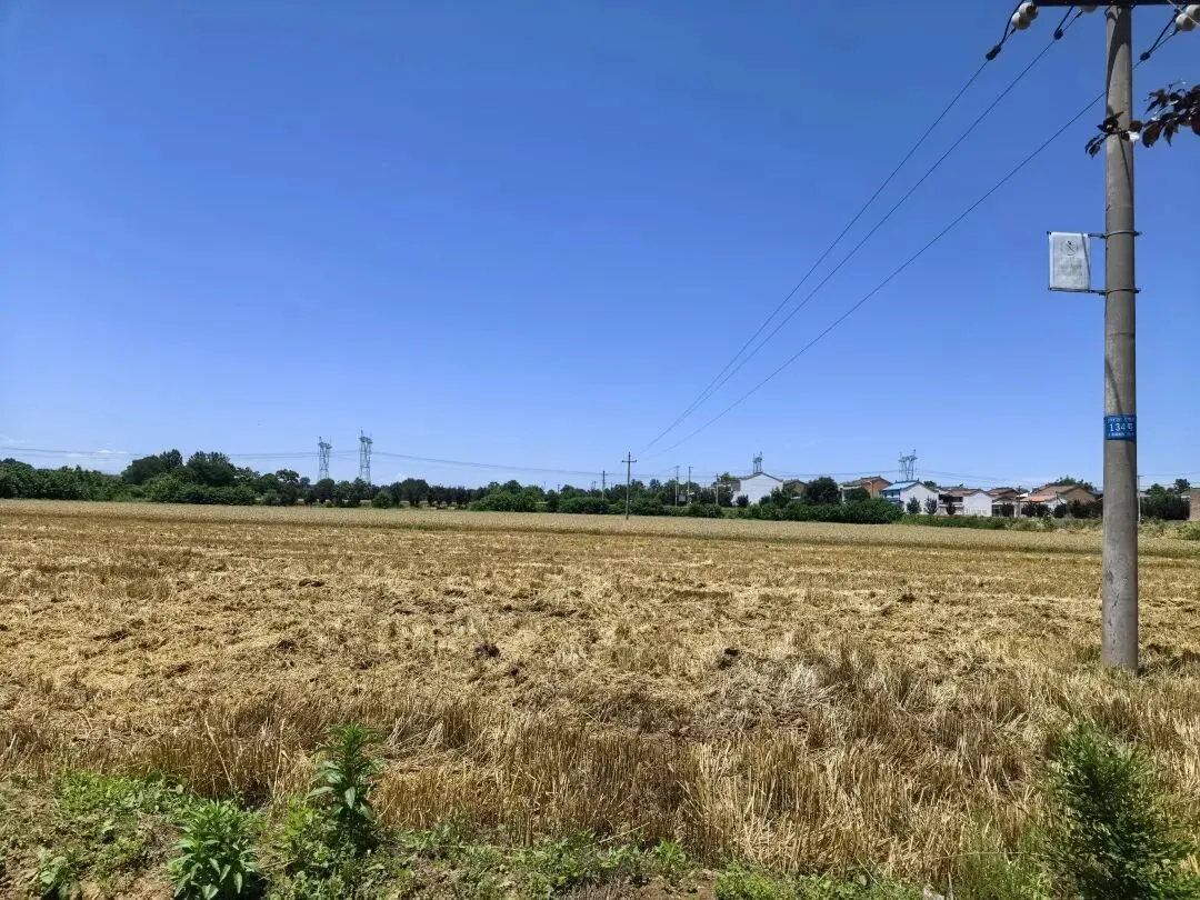 麦熟季节撞上中考-第1张图片-四季读书网 麦熟季节撞上中考-第1张图片-四季读书网