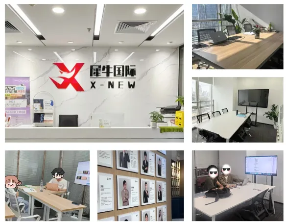 中考后转轨国际学校,暑期该如何衔接准备?犀牛教育igcse+雅思暑期衔接班-第10张图片-四季读书网
