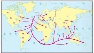 山东合格考六年真题-第6张图片-四季读书网