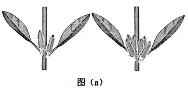 2026年生物高考真题 陕晋青宁卷-第9张图片-四季读书网 2026年生物高考真题 陕晋青宁卷-第9张图片-四季读书网