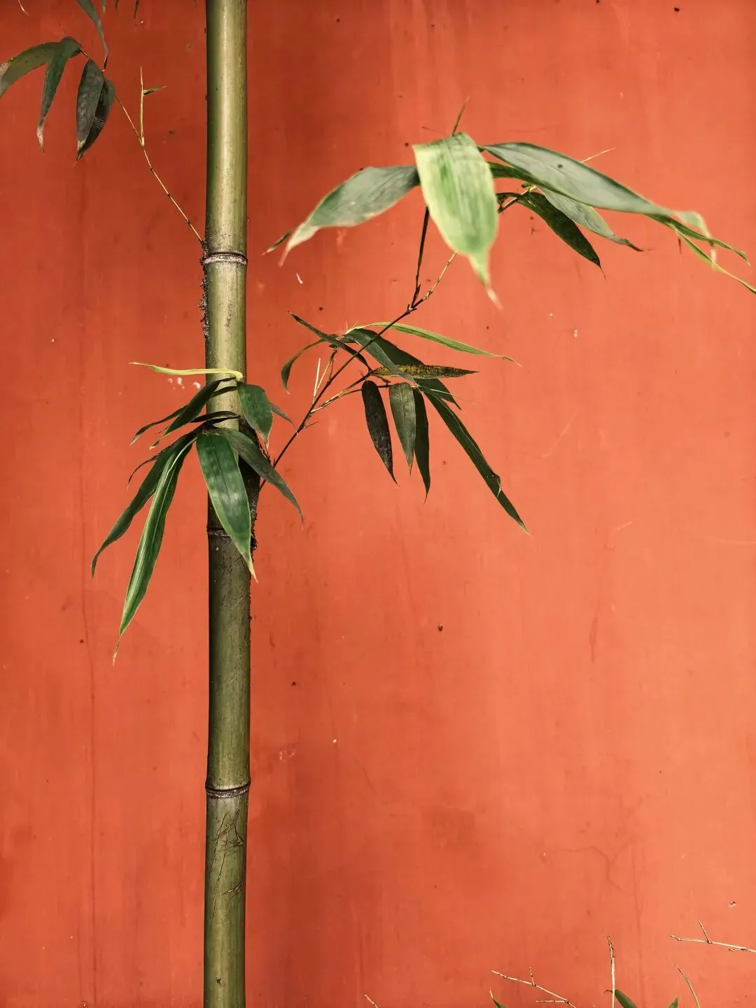 中考第二天(陪考日记)-第8张图片-四季读书网 中考第二天(陪考日记)-第8张图片-四季读书网