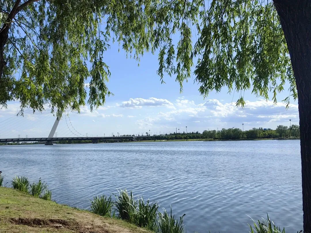 【中考模拟】2026年初中学业水平测评(三)英语试卷·全科下载-第14张图片-四季读书网