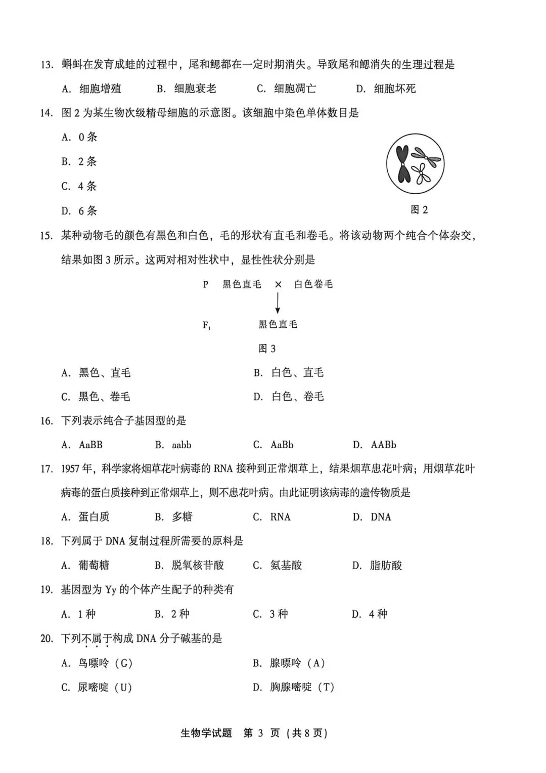 2026年1月福建省高中学考生物真题卷(附答案可下载)-第4张图片-四季读书网