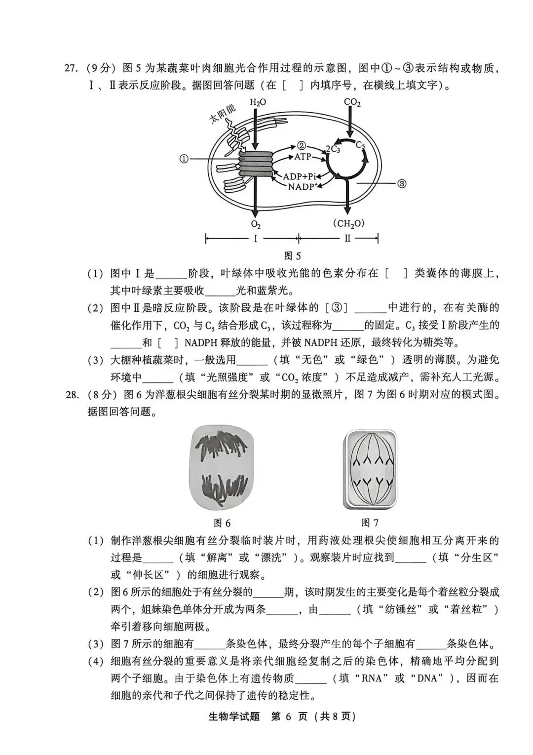 2026年1月福建省高中学考生物真题卷(附答案可下载)-第7张图片-四季读书网