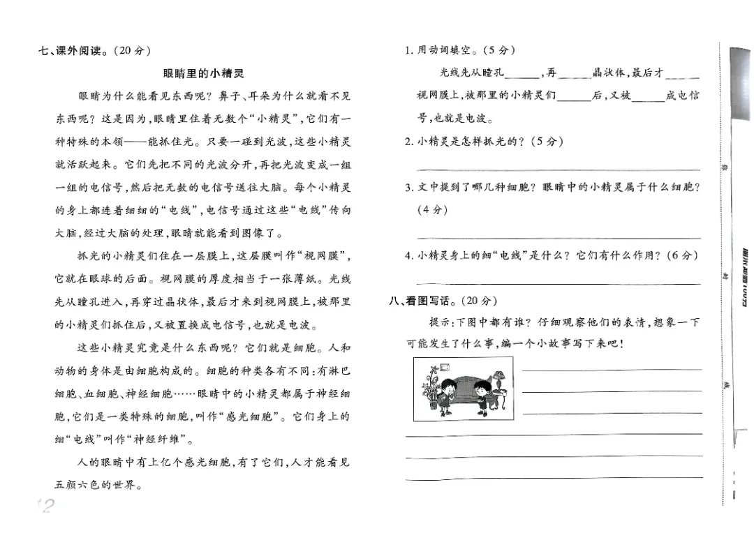 26春二年级下册《期末检测卷9套+名校真题卷3套+冲刺押题卷2套》高清完整电子版-第12张图片-四季读书网 26春二年级下册《期末检测卷9套+名校真题卷3套+冲刺押题卷2套》高清完整电子版-第12张图片-四季读书网