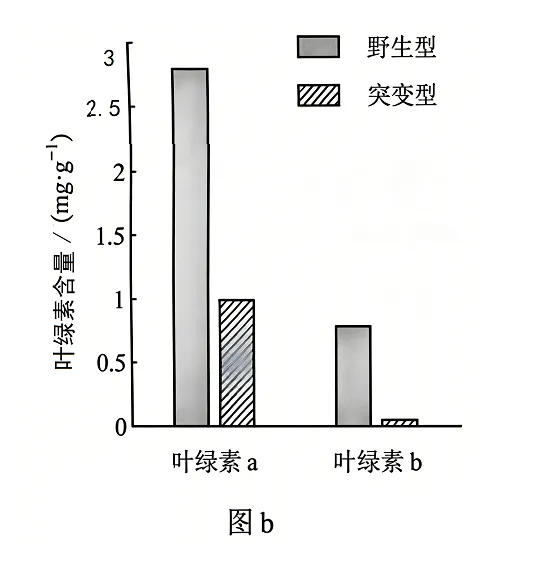 2026年高考云南卷生物高考真题(网络收集版) (1)-第5张图片-四季读书网 2026年高考云南卷生物高考真题(网络收集版) (1)-第5张图片-四季读书网