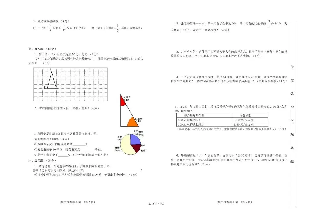 更远一些的几套小学毕业考试数学试卷-第10张图片-四季读书网